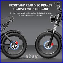 1000W 48V 20Ah Ebike 20'' Fat Tire MTB Mountain Off-road Electric Bicycle Adults