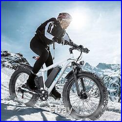 1000W Fat Tire Electric Bike, 26'' Electric Mountain Bicycle 48V Commuter Ebike