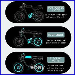20 Ebike 750W Electric Bike Mountain Bicycle Long Range Battery Fat Tire E-bike