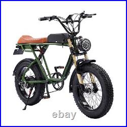 20 Ebike Electric Bike Fat Tire E-bike 750W Mountain Bicycle Long Range Battery