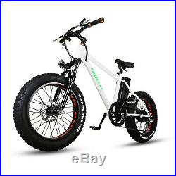 20 Electric Bike Fat Tire Mountain Bicycles 300W City E-bike Li-Battery Cycling