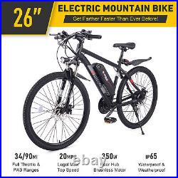 21 Speed Electric Mountain eBike Bicycle Motor 48V Battery Shimano Heavy Duty