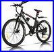 26'' 350W Electric Bike Mountain Bicycle City Ebike Bicycle 21^Speed 36V Battery