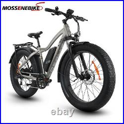 26 Electric Bike 48V750W Fat Tire E-Bike 13AH Samsung Li-battery Snow Bicycle