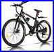 26'' Electric Bike Mountain Bicycle 500W City Ebike with Li-Battery&Fat Tire New