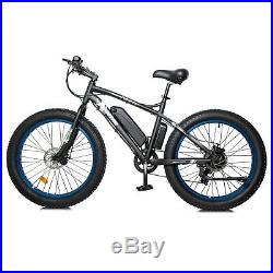 36V 500W Black/Blue Electric Fat Tire Bike Beach Bicycle City E-bike LCD Display