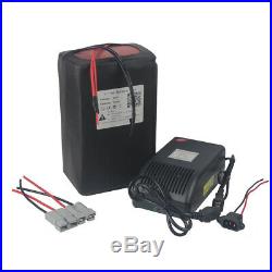 48V 30Ah Lithium ion Ebike Battery Pack 1000W Scooter Electric Bicycle Charger