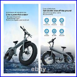 48V 750W Ebike 20 Electric Bike Bicycle Fat Tire All-Terrain E-Bike Bicyce ttNm