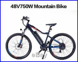 48V750W13AH Electric Mountain Bicycle City E-Bike Lithium Battery