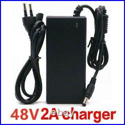 48v Lithium Ion Battery Pack 99ah 1000w For E-bike Electric Bicycle Bms+ Charger