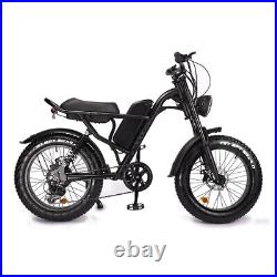 500W 48V Mountain Electric Bike Ebike 20 Inch Fat Tire 7 Speed City Snow Bicycle
