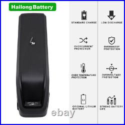 52V 13Ah 1000W Hailong Lithium Ebike Battery Pack Li-Ion Electric Bicycle Motor