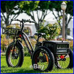 Addmotor MOTAN Electric Trike Tricycle 14.5Ah 750W Fat Tire 3Wheel Ebike M350 P7