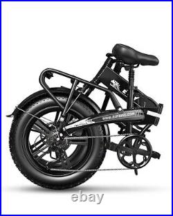Adult Electric Bike 750W Motor 204.0 All Terrain Fat Tire Ebike with Samsung