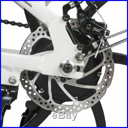 Aluminum Folding Electric Bike 20 Mountain Bicycle E-Bike 48V 350W LCD Screen