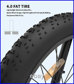 Aostirmotor 26 750W Electric Bike Mountain Bicycle 48V/13Ah Snow Fat Tire Ebike
