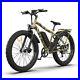 Aostirmotor 750W Electric Bike Mountain Bicycle 48V/13Ah 264 Fat Tire Ebike