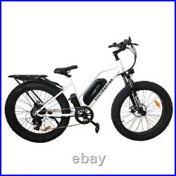 Aostirmotor Ebike 26 750W Electric Mountain Bicycle FatTire 48V 28mph for Adult