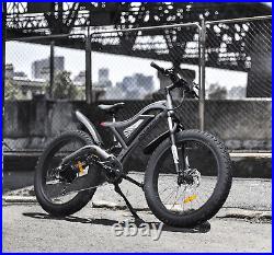 Aostirmotor Electric Bike 26 750W Mountain Bicycle FatTire 48V/15A Ebike 7Speed