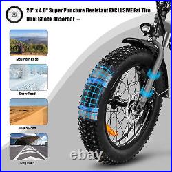 Axiniu 750W 20'' Electric Folding Bicycle Fat Tire Snow Beach City Ebike Blue