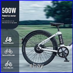 Bird Electric Bike V Frame 500W Belt Drive Adult Mountain Bicycle Ebike White