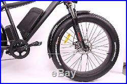Breeze Pro Fat Tire Electric Mountain Hunting Bike, eBike 750W, 48V Matte Black