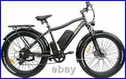 Breeze Pro Fat Tire Powerful ebike 750W Beach Snow Bicycle 48V11.6AH, Free Ship