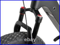 Carbon Fat Bike Electric Bicycle Bafang M620 1000W Full Suspension Ebike 16 9s