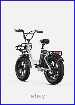 E-bike 20 750W 48V Electric Bike Mountain Bicycle Fat Tire City Commuter Ebike