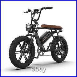 EBike 20 750W 48V Electric Mountain Bicycle Fat Tire Ebike 7Speed for Adults