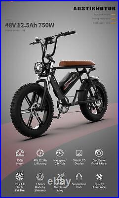 EBike 20 750W 48V Electric Mountain Bicycle Fat Tire Ebike 7Speed for Adults