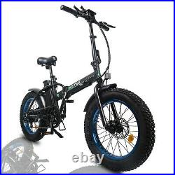 ECOTRIC 20 Folding Fat Tire Electric Bicycle 48V 500W e Bike E-Bike
