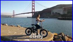 ECOTRIC 20 Folding Fat Tire Electric Bicycle 48V 500W e Bike E-Bike