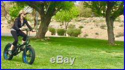 ECOTRIC 20 Folding e-bike Mountain Beach City Fat Tire Electric Bicycle E BIKE