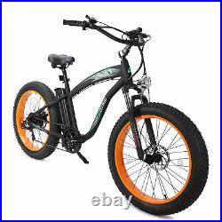 ECOTRIC 26 Ebike 750W Electric Bike Bicycle Mountain 48V/13Ah Snow E-bike
