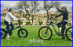 ECOTRIC 48V 12.5Ah Electric e-Bike Bicycle Removable Battery Hydraulic Brake LCD
