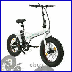 ECOTRIC Folding 20 500W 36V Electric Bicycle Fat Tire Beach Snow City E-Bike