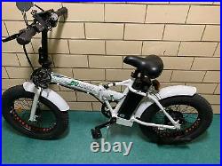 ECOTRIC Folding 20 500W 36V Electric Bicycle Fat Tire Beach Snow City E-Bike