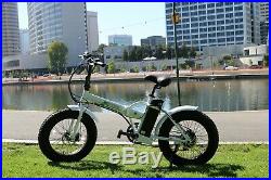 ECOTRIC Folding 20 Electric e-Bike Beach Snow Bicycle Moped Removable Battery