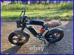 ENGWE 20 1000W 48V Electric Bike Mountain Bicycle FatTire Ebike for Adult Green