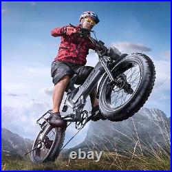 EUY 1000W 48V 25AH Fat Tire Electric Bike 30MPH Mountain ebike-K6F