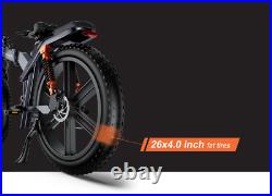 Ebike 1000W Electric Bike Mountain Bicycle 48V/28Ah Battery 26 Fat Tire E-bike