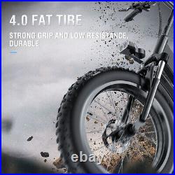 Ebike 20 1000W 48V Mountain Bicycle Bike Electric Fat Tire All terrain E-Bike