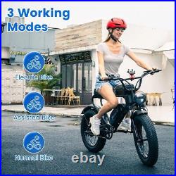 Ebike 20 1200W 48V/20Ah Electric Mountain Bike Bicycle Fat Tire Off Road E-bike