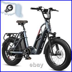 Ebike 20750W 48V Electric Bike Dual Samsung Battery Fat Tire off road E-bicycle