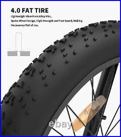 Ebike 26 750W 48V Electric Bike Mountain Bicycle Fat Tire 28mph E-bike 7 Speed