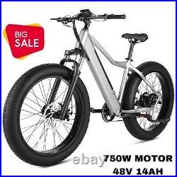 Ebike 26 750W 48V Electric Bike Mountain Bicycle FatTire 14Ah 8Speed for Adults