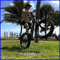Ebike 26 750W 48V Electric Bike Mountain Bicycle FatTire 14Ah 8Speed for Adults