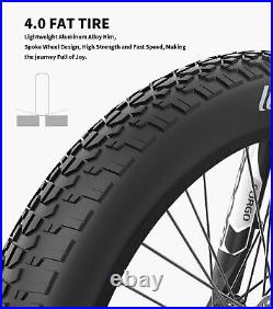 Ebike 26 750W 48V15A Electric Bike Mountain Bicycle Fat Tire All Terrain E-bike