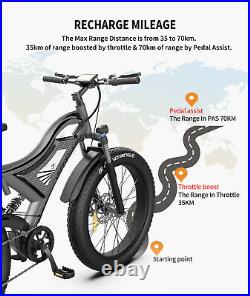 Ebike 264 750W 48V/15A Electric Bike Mountain Bicycle Fat Tire E-bike
